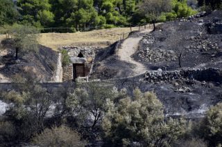 Μυκήνες