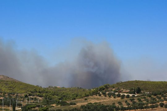 Σε ύφεση η πυρκαγιά στην Αρτέμιδα