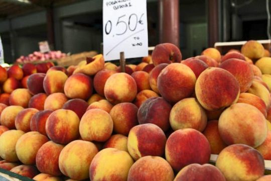 Διαμαρτυρία ροδακινοπαραγωγών από Πέλλα, Ημαθία και Φλώρινα στη Βέροια