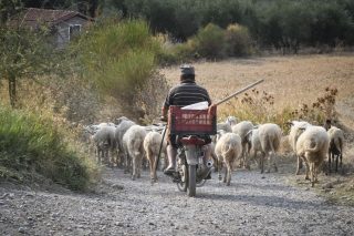 Με τον… αραμπά οι ενισχύσεις στους παραγωγούς