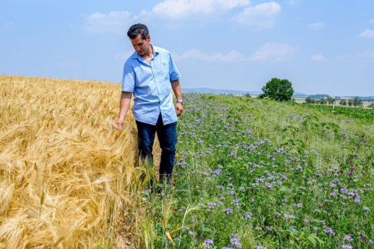 Η Bayer συμβάλλει στη μεταμόρφωση της βιομηχανίας τροφίμων