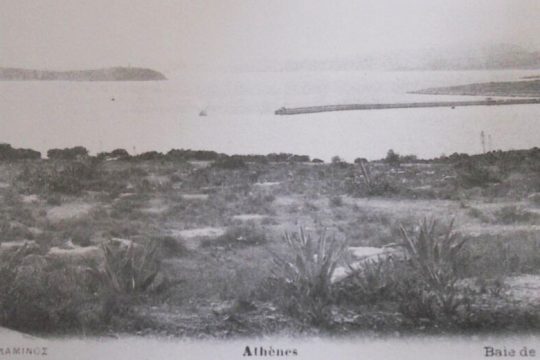 Κολύμπι στο Κερατσίνι με απειλή καρχαριών
