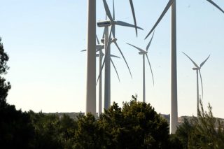 Xρυσώνουν το χάπι στους παραγωγούς