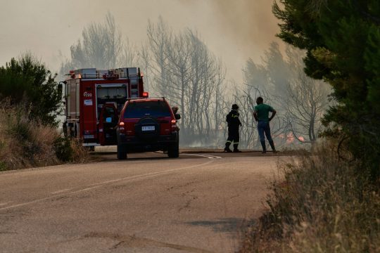 «Άνθρακες» οι δράστες μετανάστες στις φωτιές στον Έβρο