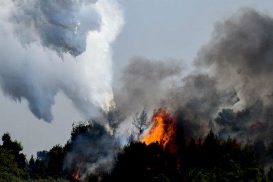 Φωτιά σε δύσβατο σημείο στην Εύβοια
