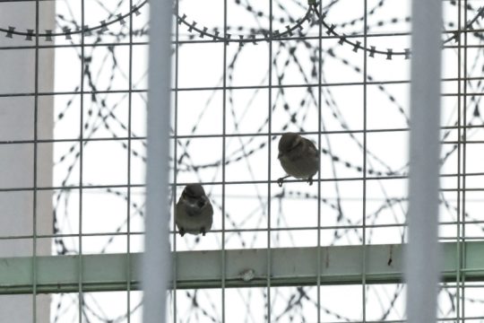 Πόλεμος στην επανένταξη, «τσαμπουκάς» στους αδύναμους