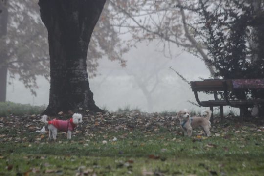 Κατρακύλησε η θερμοκρασία