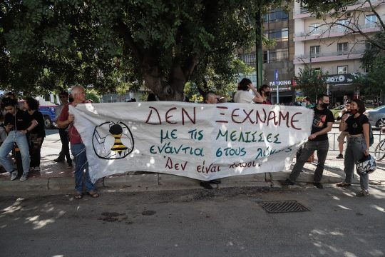 Η νίκη των μελισσών επί των λύκων