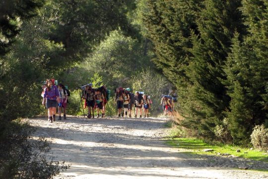 Οπως λέει κι ένα παλιό γνωμικό…