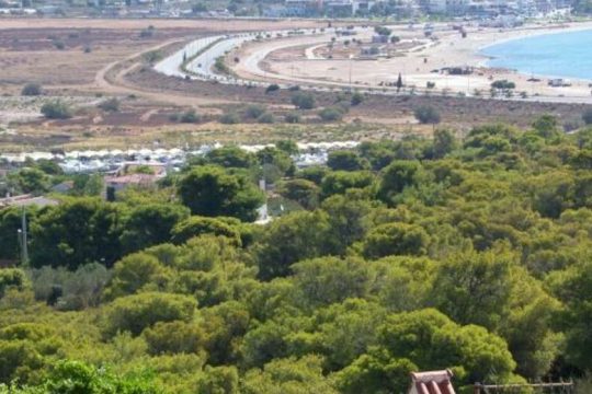 Επιστρέφουν στο Δημόσιο 7 παραλίες του Σαρωνικού