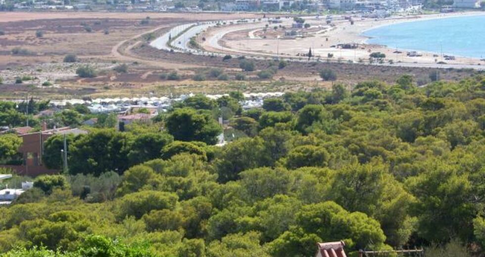 Επιστρέφουν στο Δημόσιο 7 παραλίες του Σαρωνικού