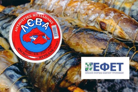 Κολιούς σε κονσέρβα ανακάλεσε ο ΕΦΕΤ