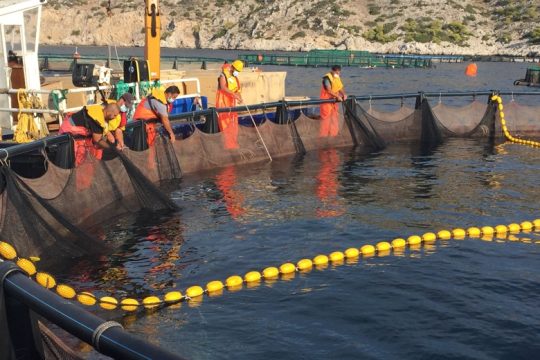Τσουνάμι αντιδράσεων για τις ιχθοκαλλιέργειες