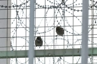 Νέος θάνατος από Covid-19 στις φυλακές Διαβατών