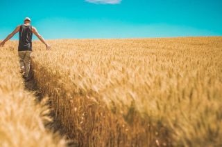 Η γεωργία μπορεί να προστατεύσει το περιβάλλον;