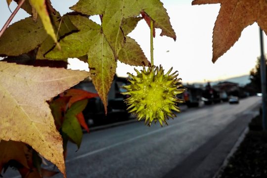 Μελλοντική «κανονικότητα» – χαμένη ευκαιρία;