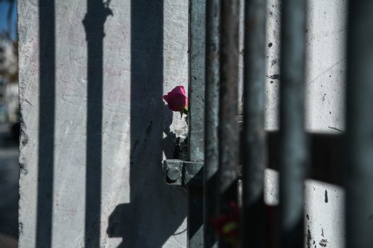 Θα ανθίσουν λουλούδια…