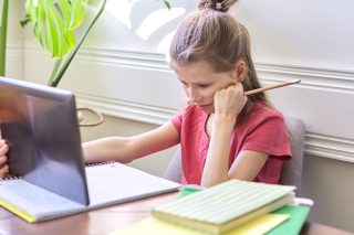 Καμιά εγγύηση για την κατάρρευση της τηλεκπαίδευσης