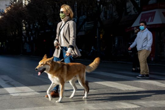 Αύξηση της φιλοζωίας έφερε η καραντίνα