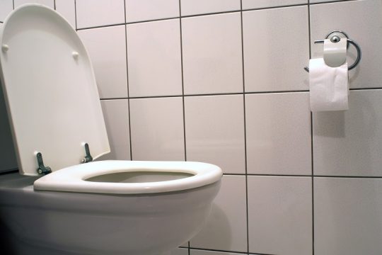 Ο πολιτισμός της τουαλέτας
