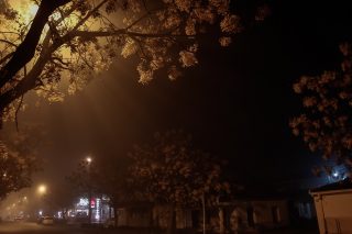 Ελοκντάνιασε ο Χαμένος