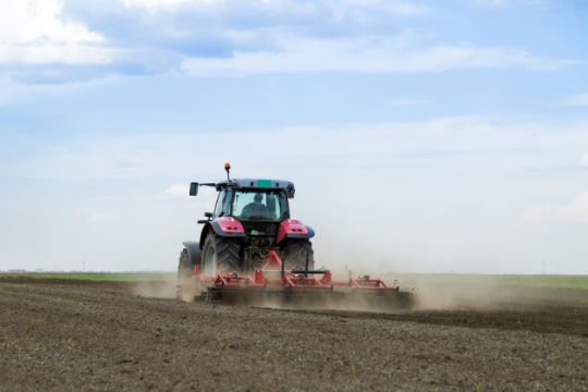 Η σπορά, τα σωθικά, η τηλοψία