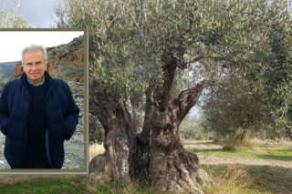 Το Ορος των Ελαιών της Ρόδου