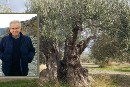 Το Ορος των Ελαιών της Ρόδου