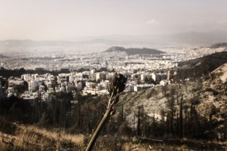 Μια καλή μέρα