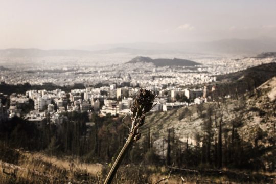 Μια καλή μέρα