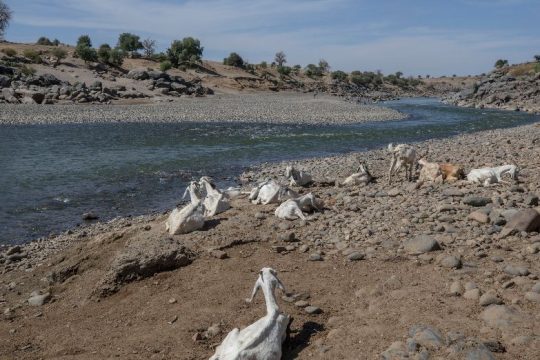 Σφαγή με πάνω από 100 νεκρούς στη δυτική Αιθιοπία