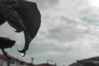 Βρέχει όπως και στην προηγούμενη σελίδα