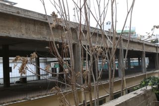 Aγωγή ύψους 324 εκατ. κατά του Ερυθρού Σταυρού