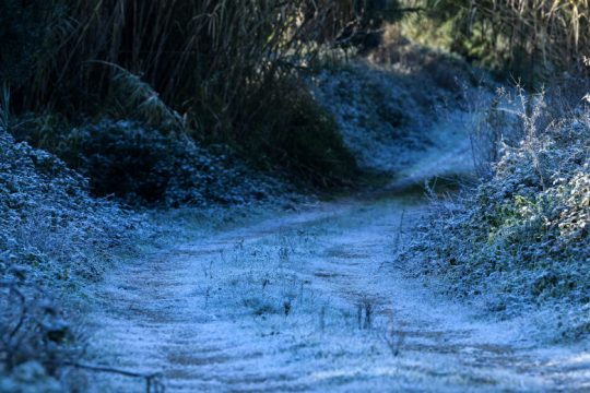 Ισχυρός παγετός στη Δ. Μακεδονία, εξασθενούν οι άνεμοι στα ανατολικά