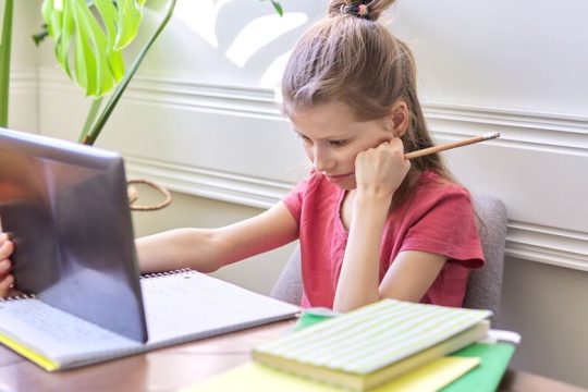 Το ημίμετρο της τηλεκπαίδευσης