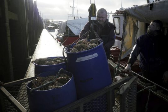 «Χριστουγεννιάτικο θαύμα» η συμφωνία για το Brexit