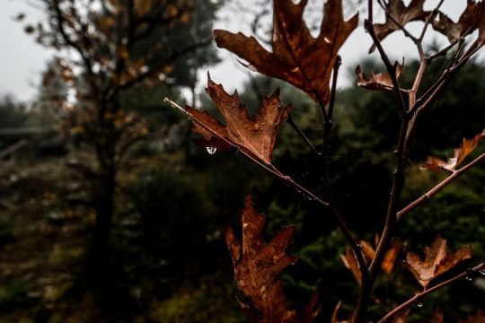 Συννεφιά και τοπικές βροχές σε όλη τη χώρα
