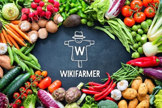 Ο Wikifarmer στο πλευρό των ασθενών με Covid-19 του Ευαγγελισμού