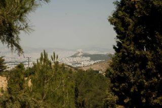 Εις το δάσος με «λούγκρες» και «λουλούδες»