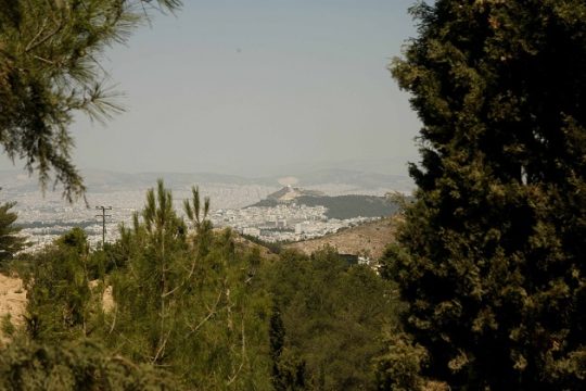 Εις το δάσος με «λούγκρες» και «λουλούδες»