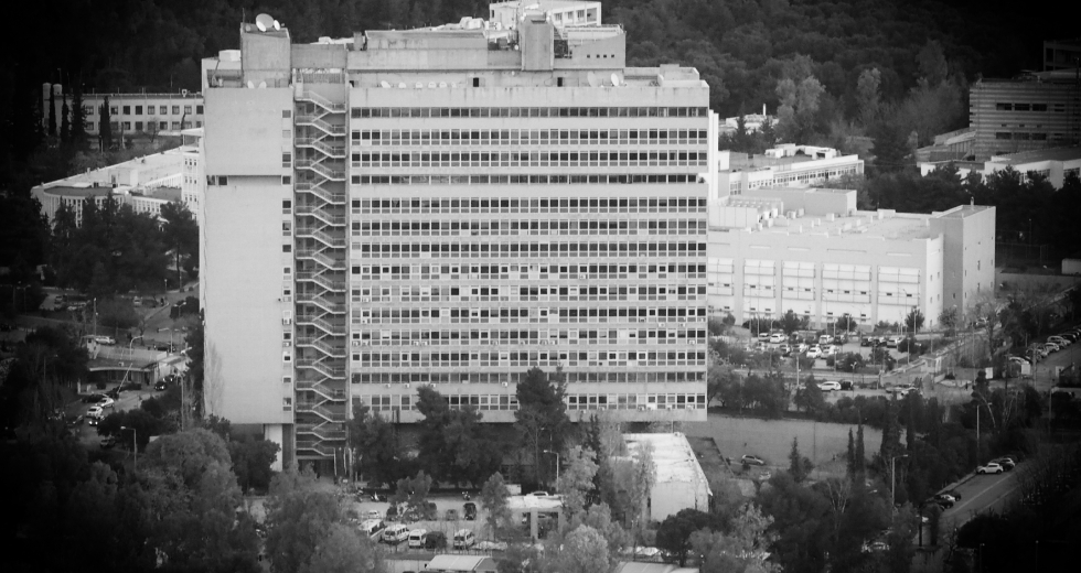Τρία στρέμματα γραφεία για τον «στρατό» της Νικολάου…