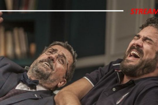 «Δείπνο ηλιθίων»… στο σπίτι σας