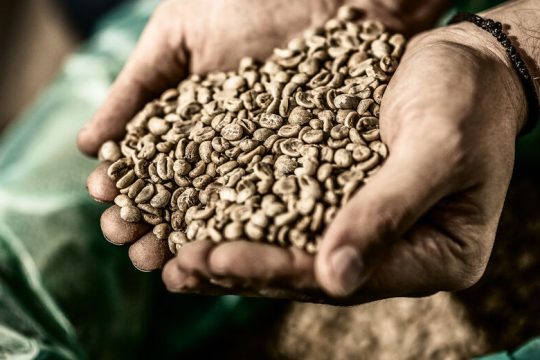 Ο Ελληνας που έμαθε στους Αγγλους τον καφέ!