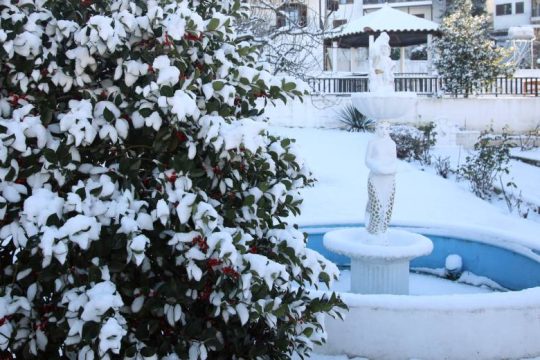 Το θέμα είναι η στατιστική αποτύπωση των τάσεων των τελευταίων χρόνων