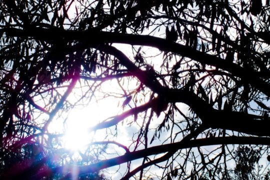 Η κλιματική αλλαγή είναι εδώ: Ρεκόρ θερμοκρασιών για Δεκέμβριο – Ιανουάριο