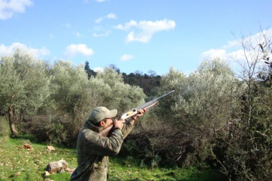Κρήτη: Θέλουν να επιτραπεί το κυνήγι εν μέσω του lockdown