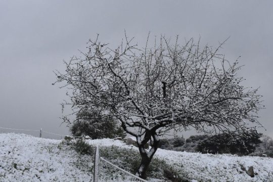 Το χιόνι ομόρφυνε τη φύση στην Πελοπόννησο