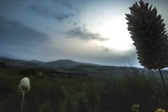 Οι κοινωνίες και ο θάνατος