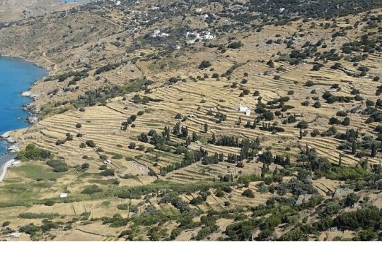 Μπετονιέρες ενάντια στις ξερολιθιές και στους σπιζαετούς