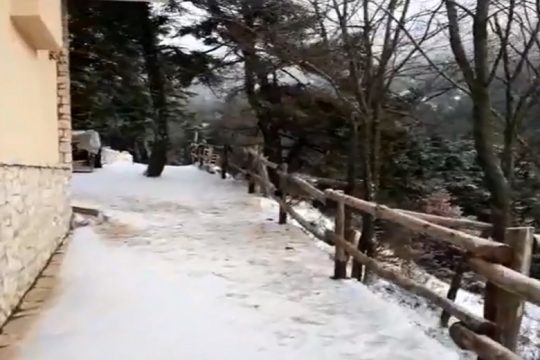 Στα λευκά ντύθηκε η Πάρνηθα